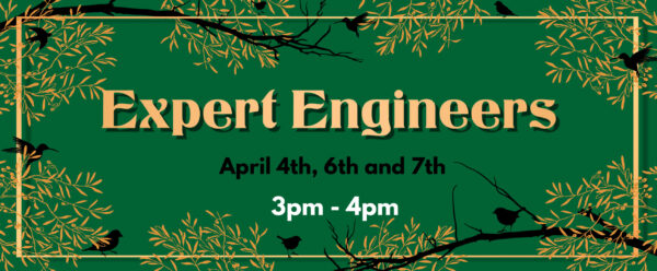 Expert Engineers
