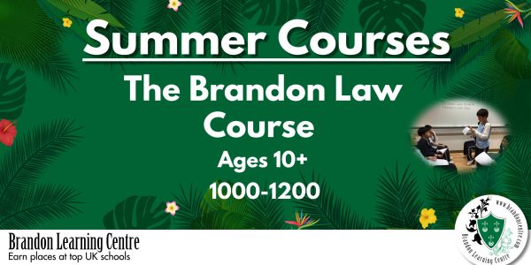 Summer 2024 Brandon Law Course (1)